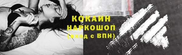 сатива Гусев