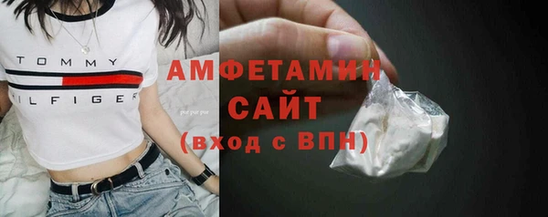 сатива Гусев