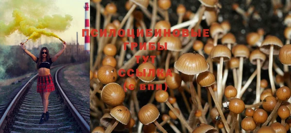 ALPHA-PVP Гусиноозёрск