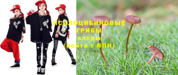 герыч Гусь-Хрустальный