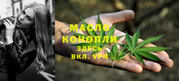 сатива Гусев