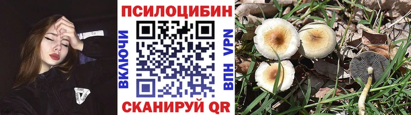 Псилоцибиновые грибы Psilocybe  Купить  Березники 
